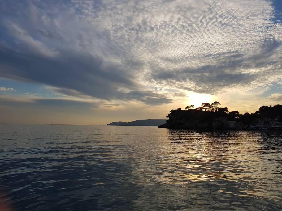 Villa Contemporaine F5 Cote Azur Ollioules Calme Bagian luar foto