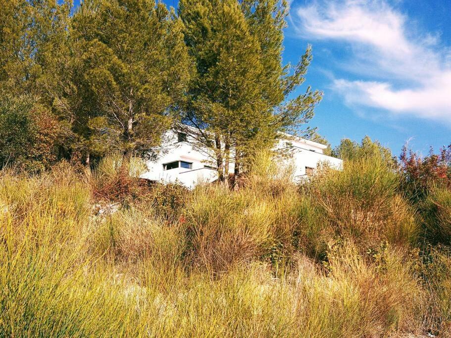 Villa Contemporaine F5 Cote Azur Ollioules Calme Bagian luar foto